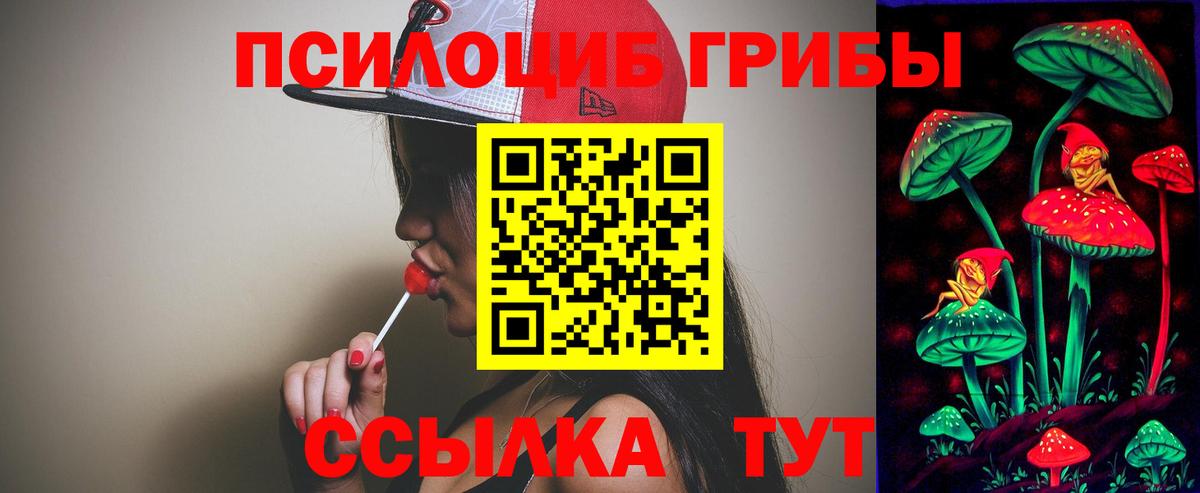 Луховицы  Псилоцибиновые грибы Cubensis  купить наркоту  Вход с VPN  Псилоцибиновые грибы GOLDEN TEACHER 